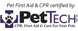pet first aid 